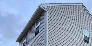 Best Siding Painting and Refinishing  in Haven, KS